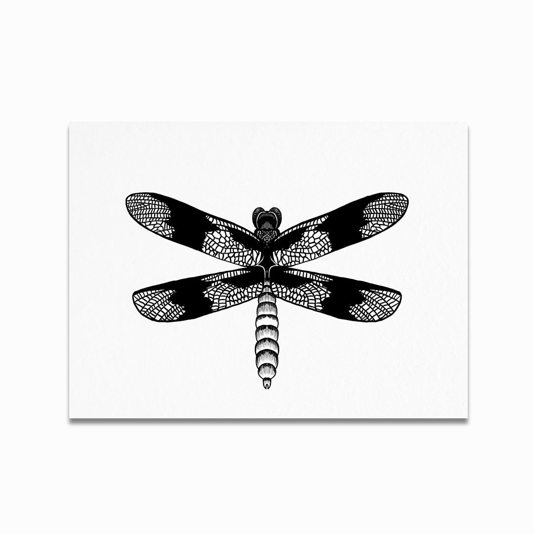 Blue Damselfly Print