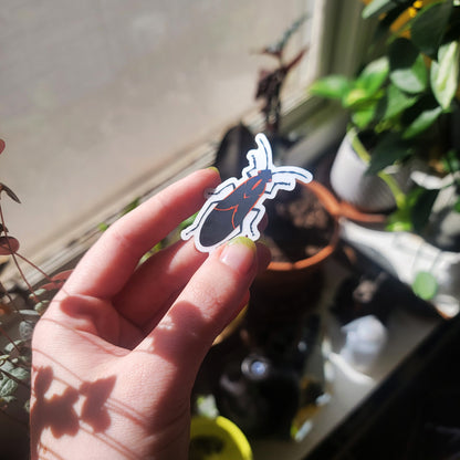Box Elder Bug Sticker