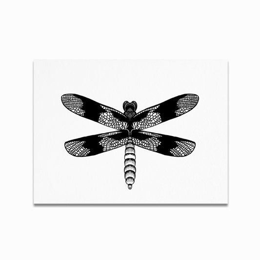 Blue Damselfly Print