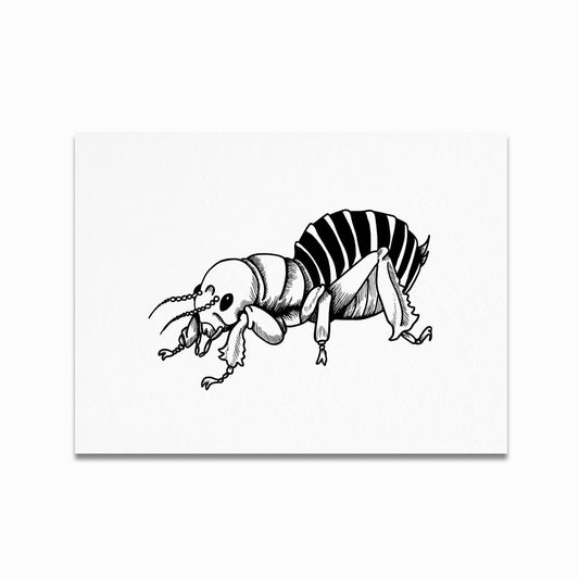 Potato Bug Print
